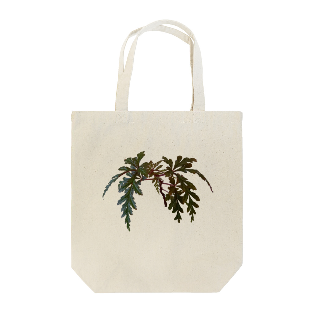 ぴーちゃんのベゴニア ポリロエンシス 熱帯植物 トートバッグ