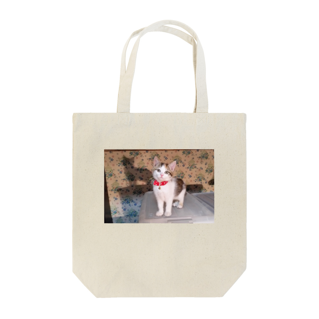 じゃんぐる堂の店のもなかと影 Tote Bag