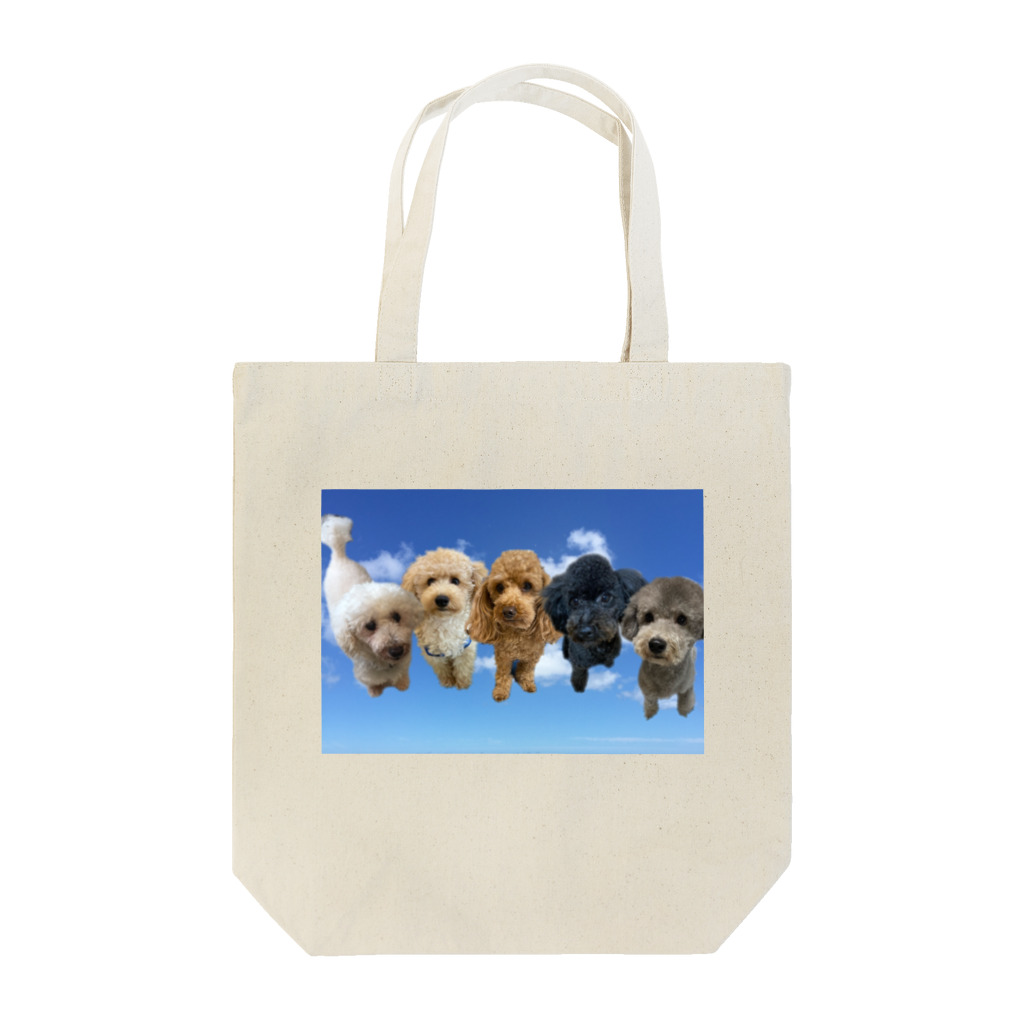 5色のトイプードルの5色のトイプードル Tote Bag