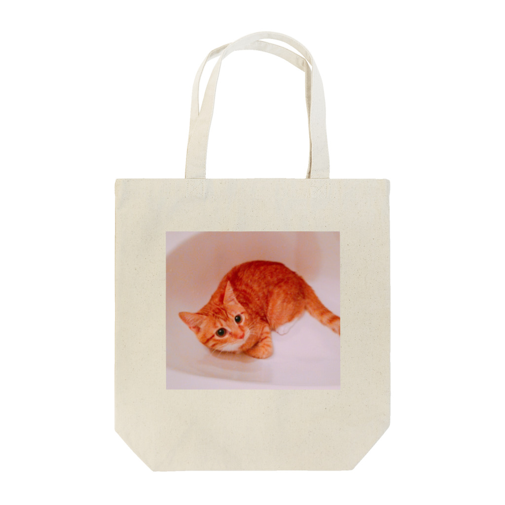 DTIの猫 Tote Bag