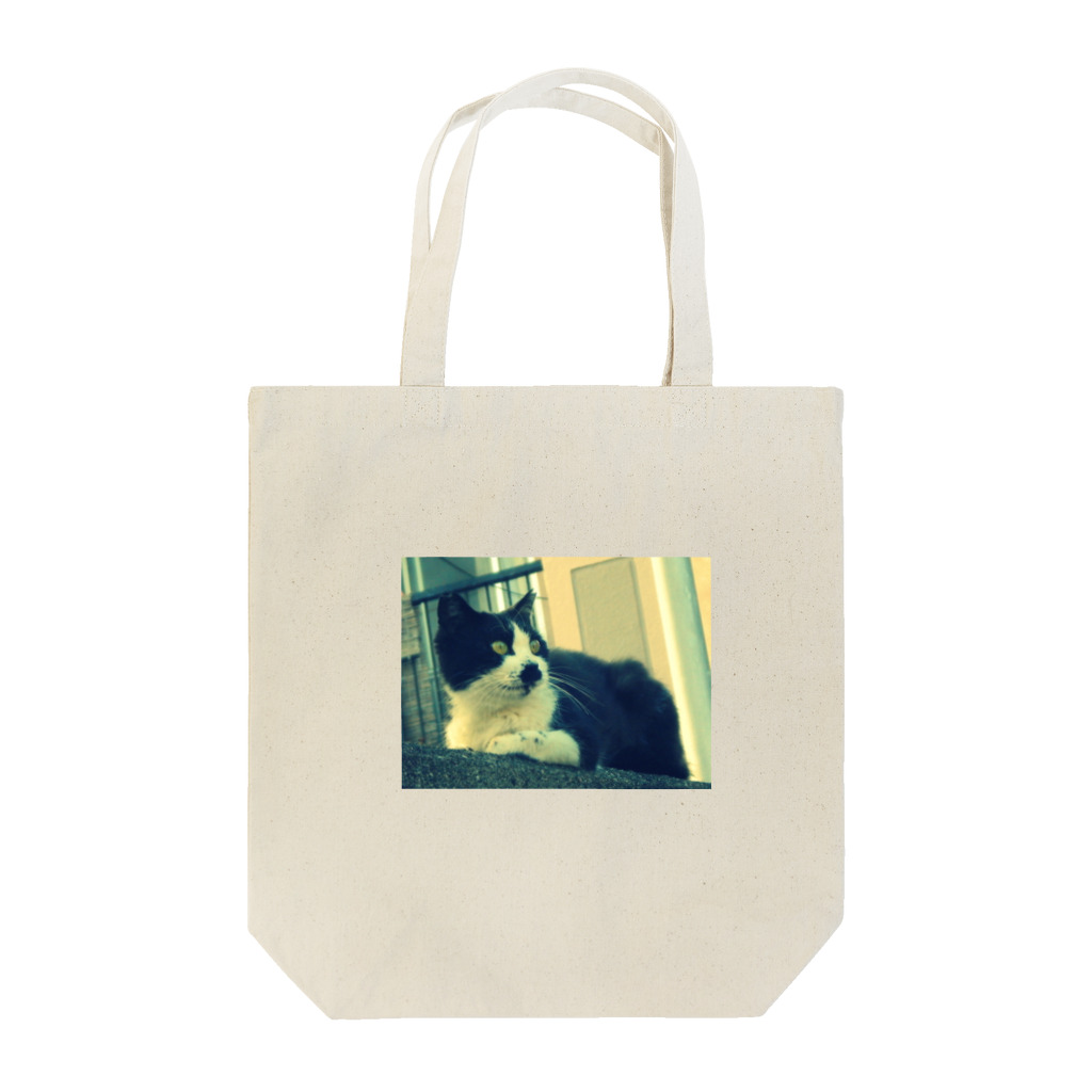 苺の創作部屋の野良猫さん Tote Bag