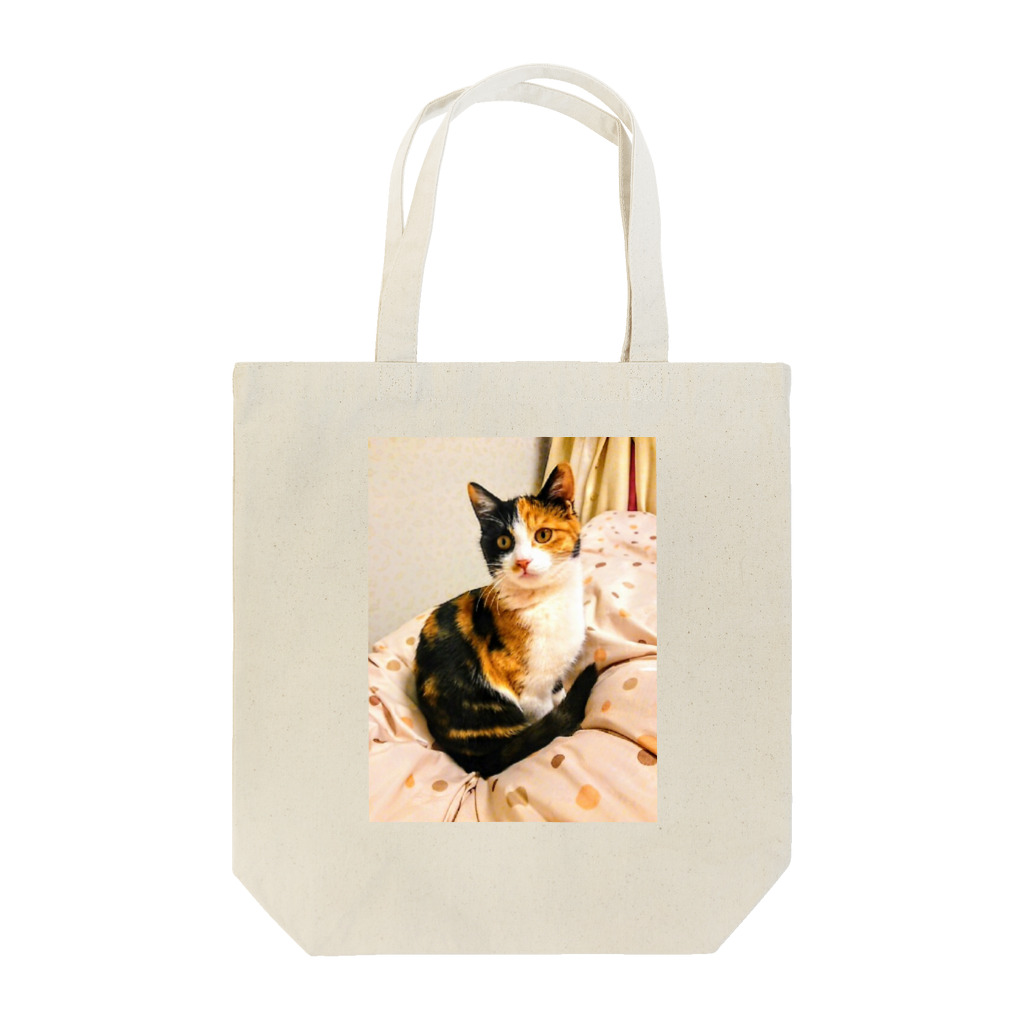 Hesseのまどろむ猫 Tote Bag