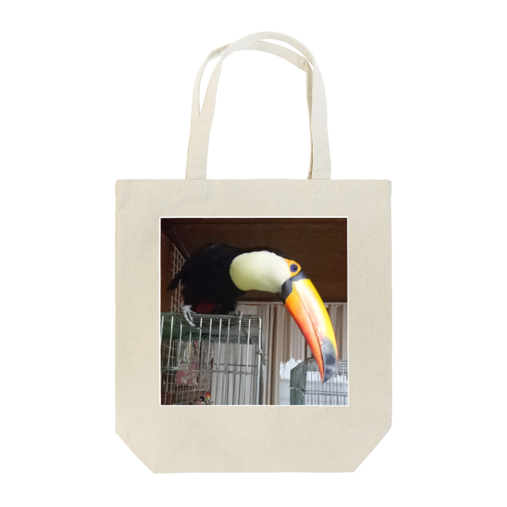 Geotopiaのおおちゃんの憂鬱 Tote Bag