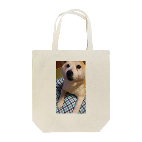 柴犬と青ﾁｪｯｸ Tote Bag