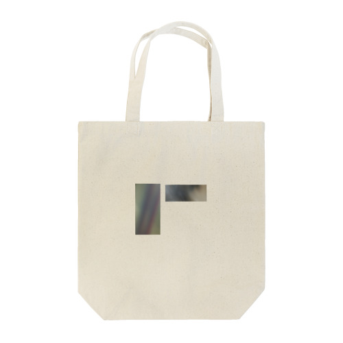 Compartment for Fluid / Stagnation of Memory Tote Bag