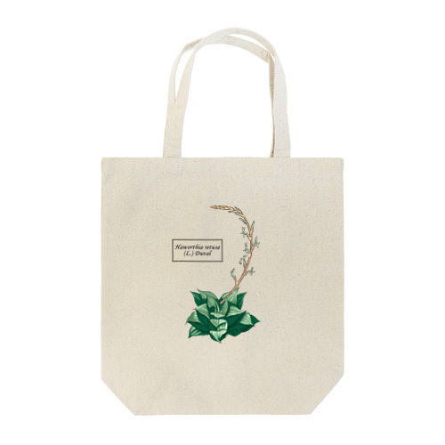 ハオルチア レツーサ （Haworthia retusa） Tote Bag