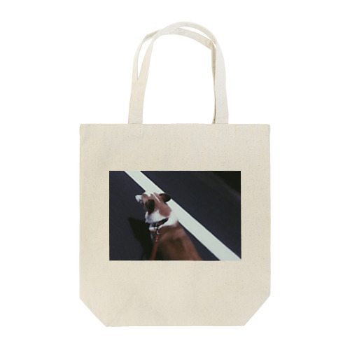 白線コーギー Tote Bag