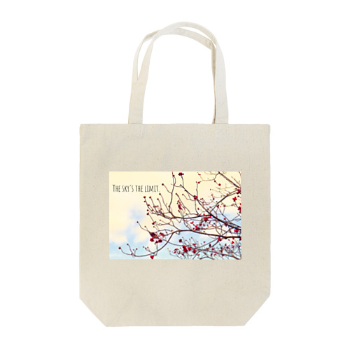 The sky’s the limit!  Tote Bag