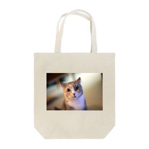 見つめるネコ Tote Bag
