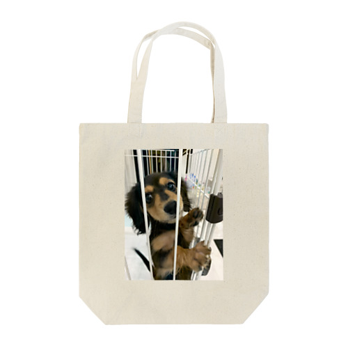  Tom's Collection Tote Bag
