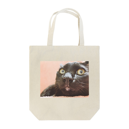 猫のぶんた Tote Bag