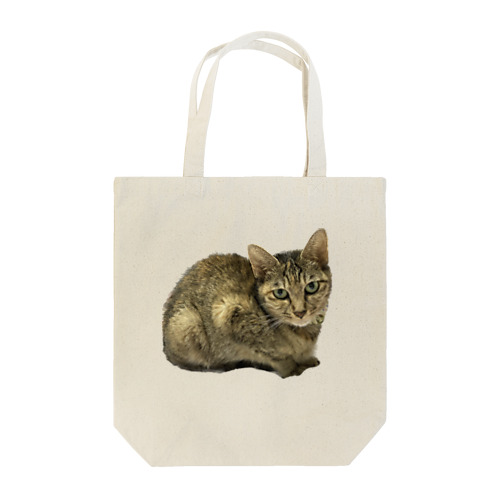 おすましキジトラ猫 Tote Bag