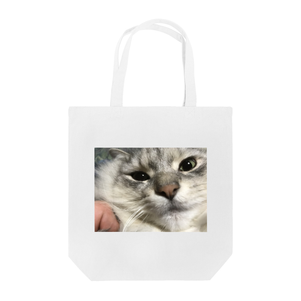 イケメン猫ニャン太郎！復活٩( 'ω' )وコロニャに負けるにゃあ！のニャンタロトートバッグ Tote Bag