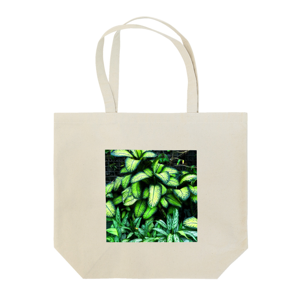 kikuyan8540の癒しの観葉植物 Tote Bag