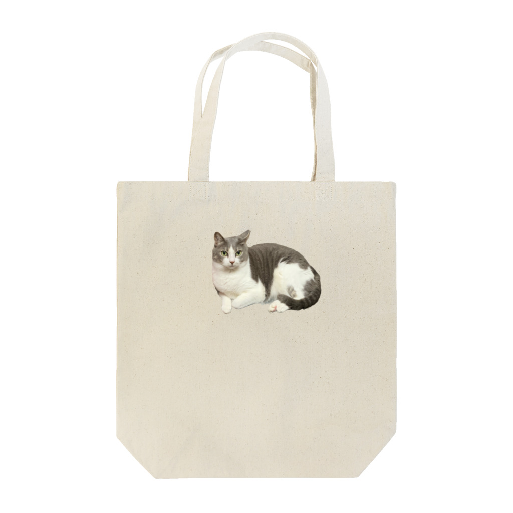 mellokkomaのペルシャ風メロ Tote Bag