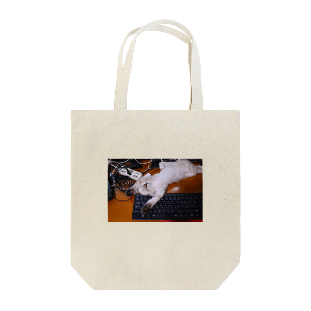 僕の撮る猫は可愛くないのMamekan Tote Bag