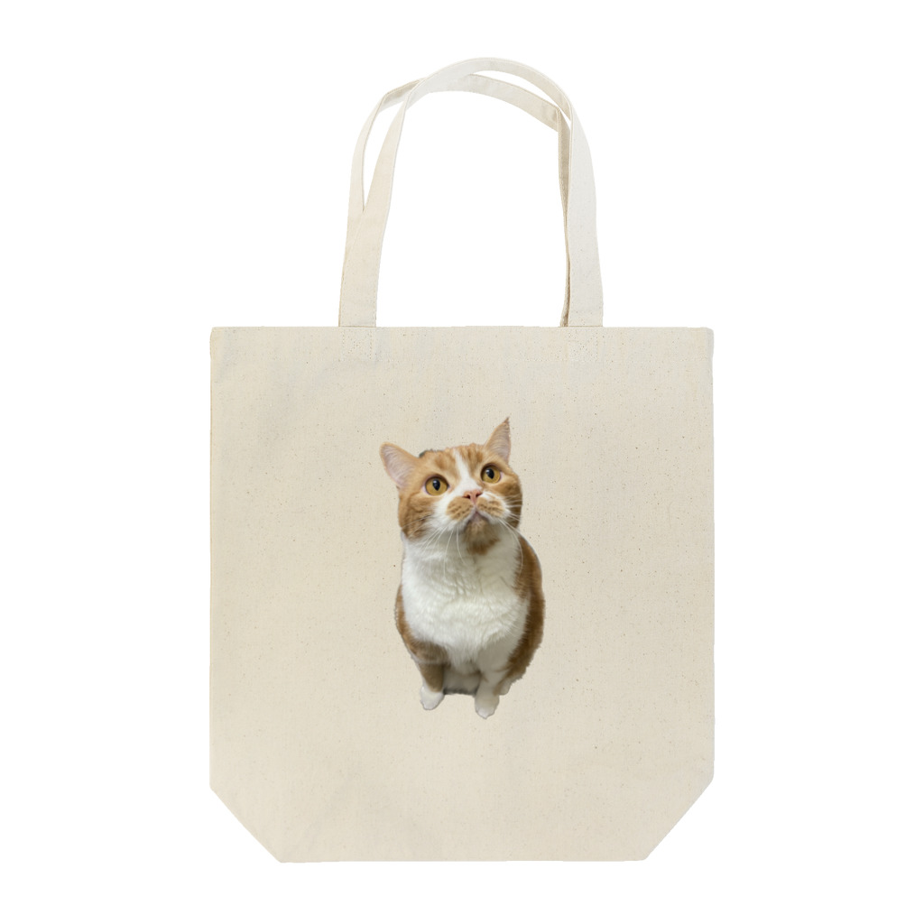 robi_hakuのまるまるロビンくん Tote Bag