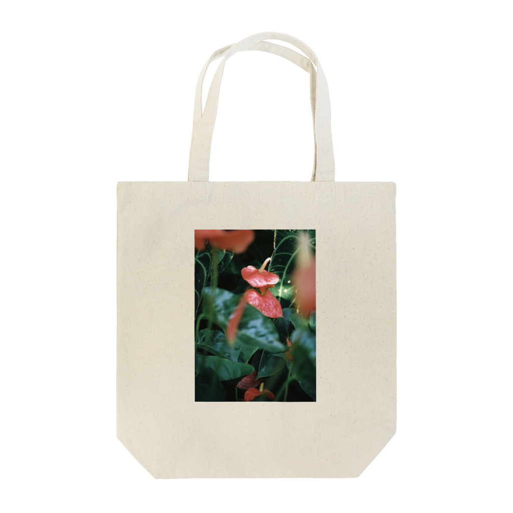 ayak_a_kayaの凛々しい Tote Bag