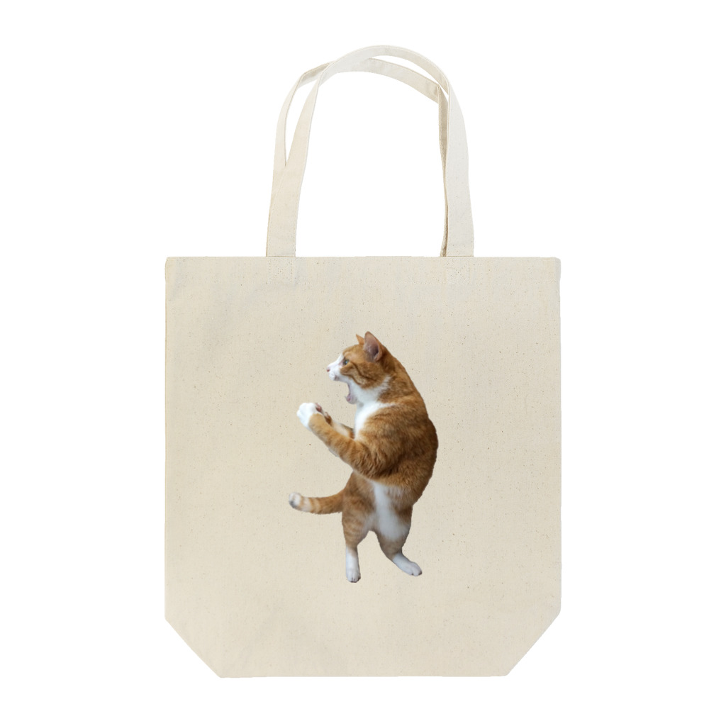 クウちゃんとカイちゃん家のクウちゃん_よっしゃー！ Tote Bag