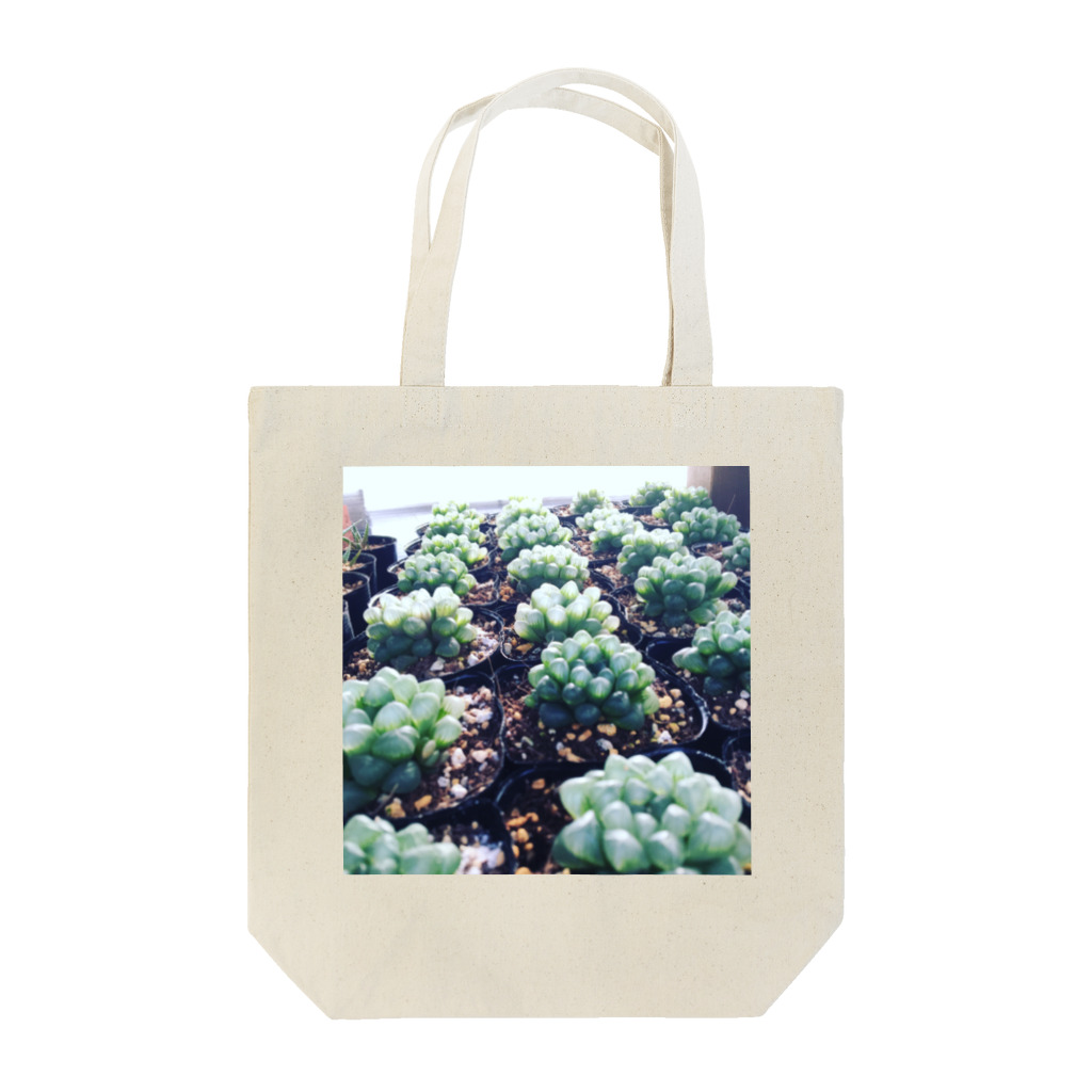 PalmHealingのオブツーサ Tote Bag