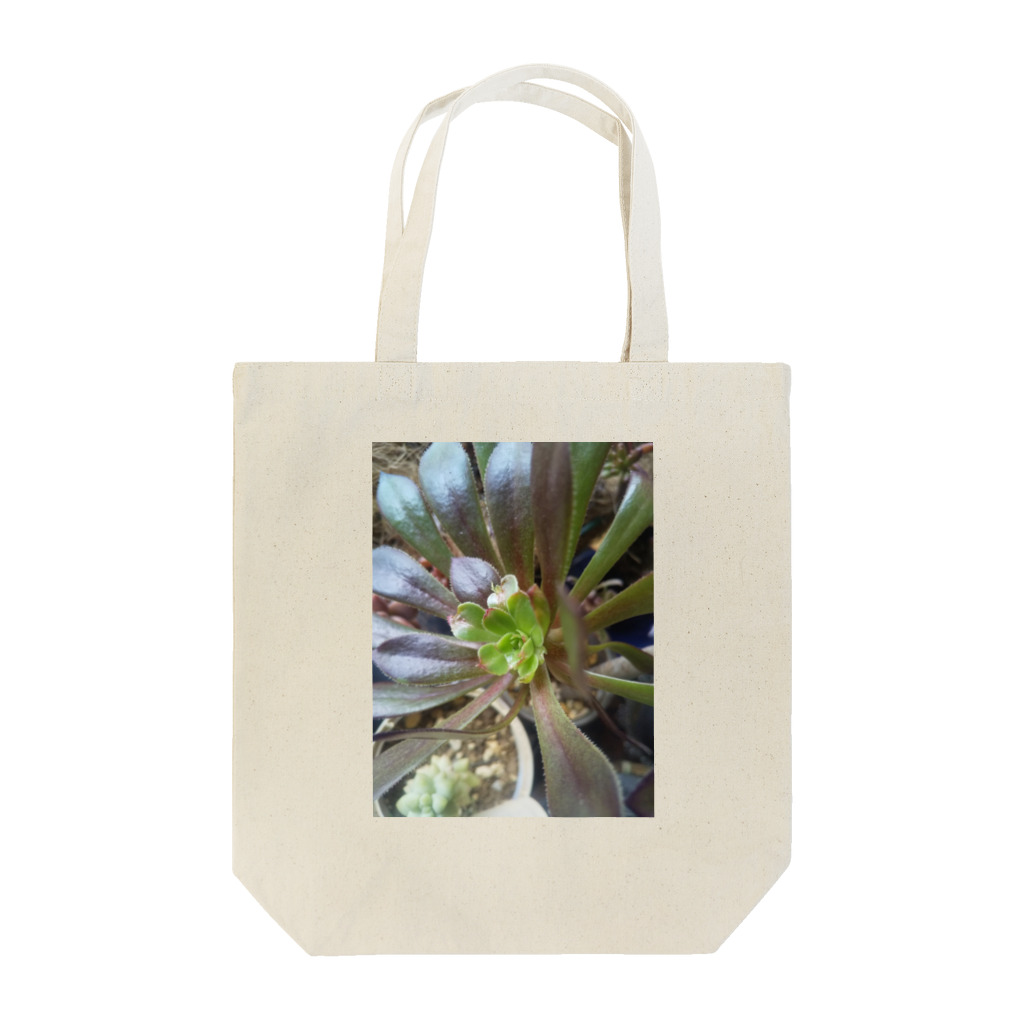 ミクロの多肉植物の黒法師 Tote Bag