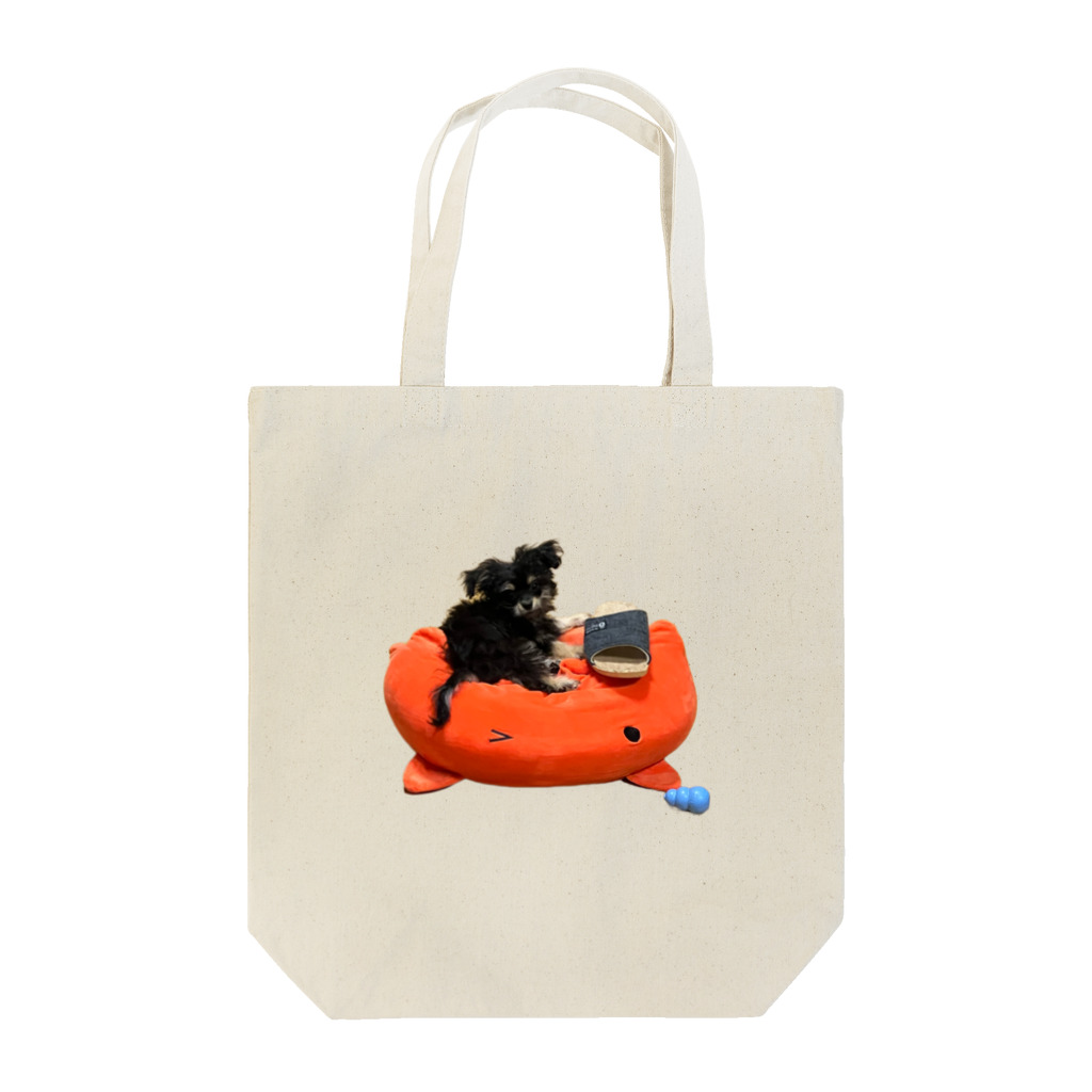 ひじきのチワプーのひじき Tote Bag