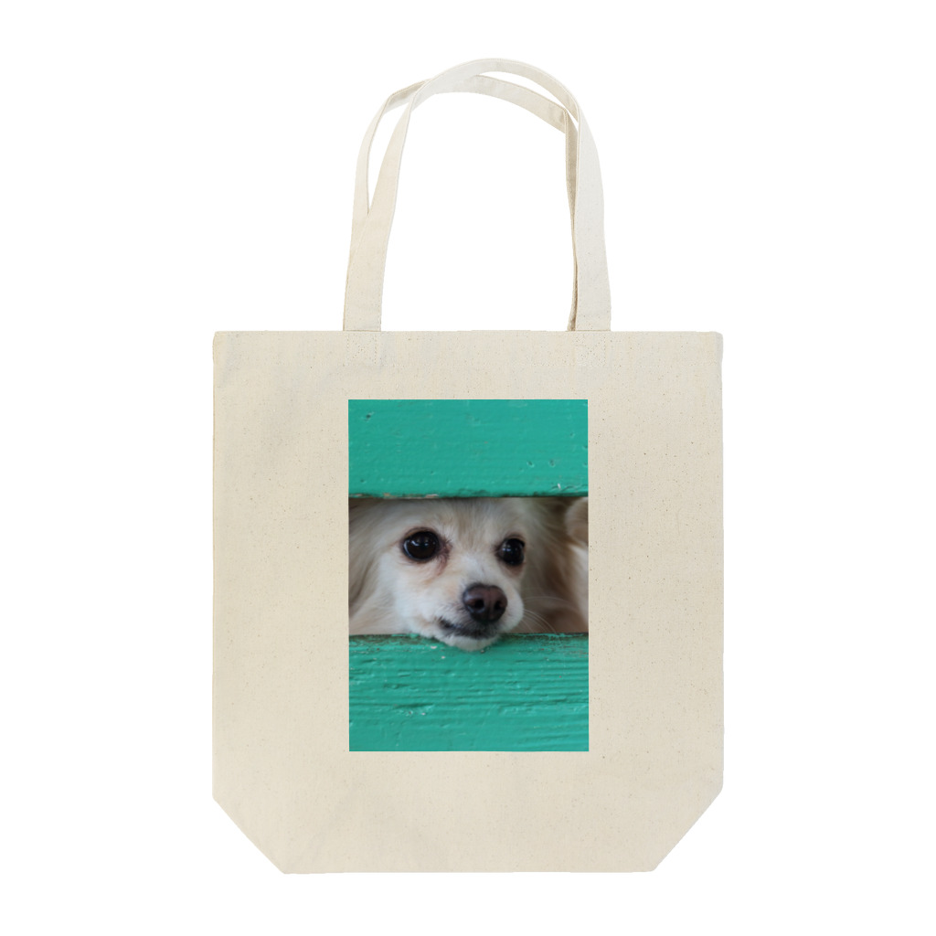 フリー素材おきなわグッズショップの隙間から顔を出す犬 Tote Bag