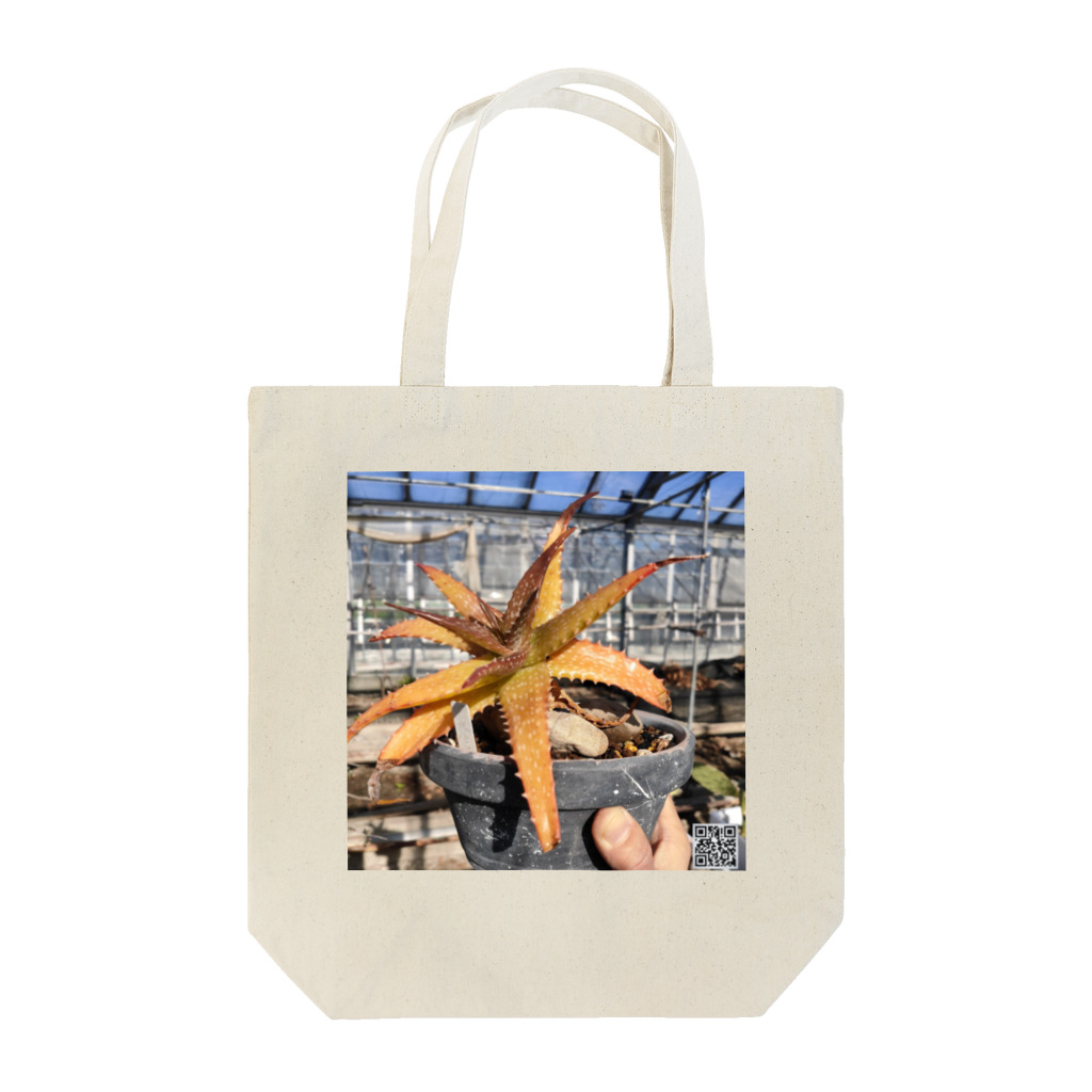 ±ns(ツチンズ)のAloe Tote Bag