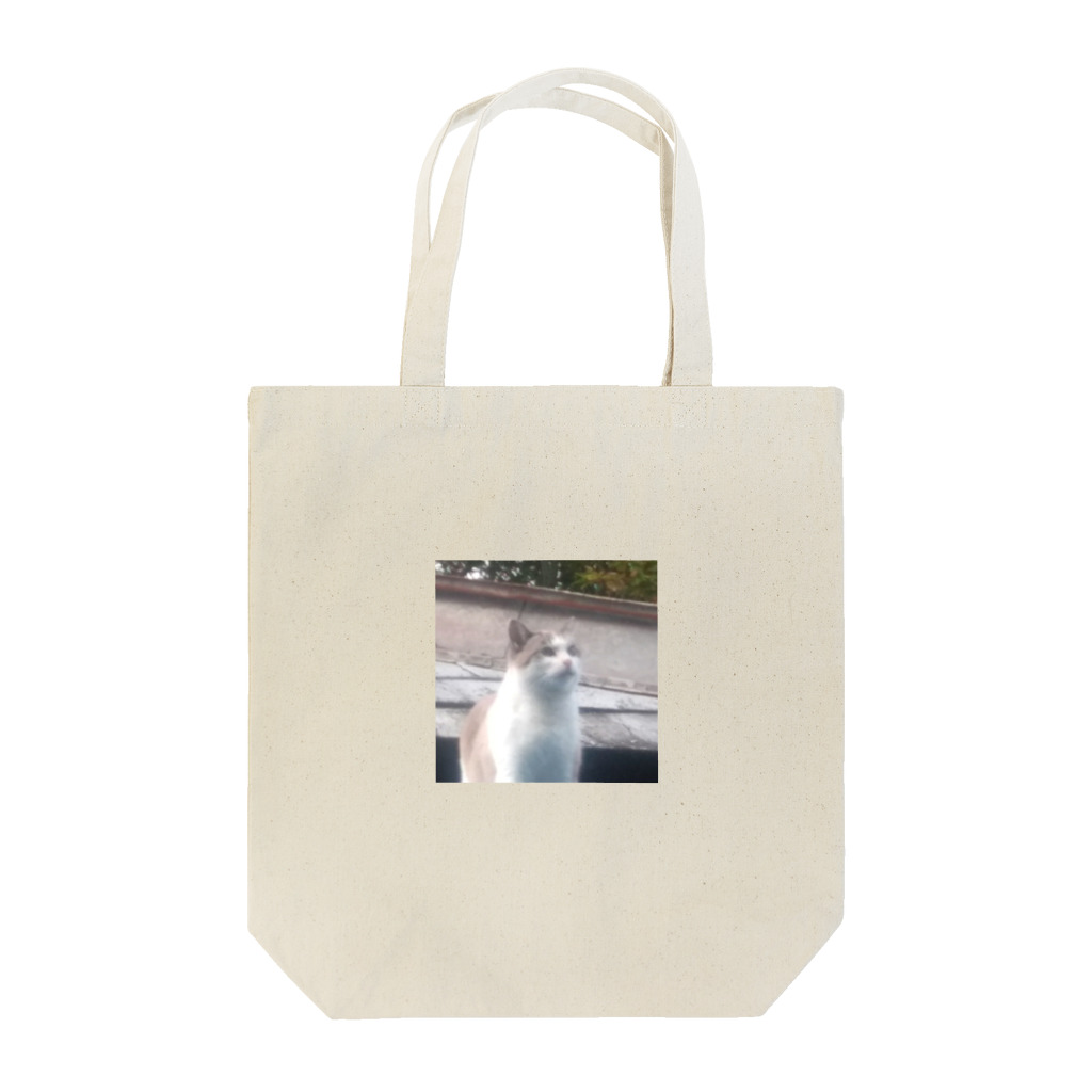 🍀Kaori🍀の猫と空 Tote Bag