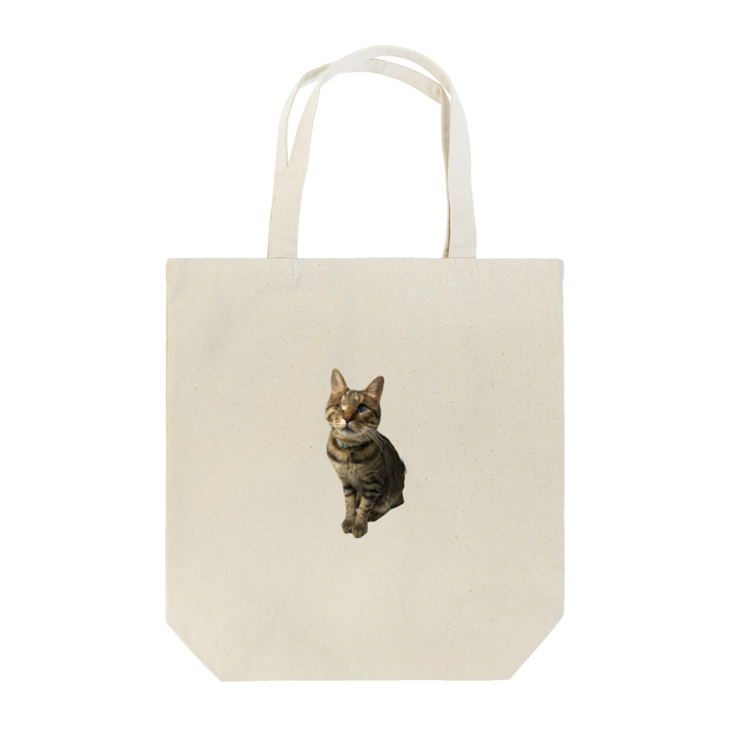 みけ（猫たつえ製作所/闇と肉球。）の千景一歳記念 Tote Bag