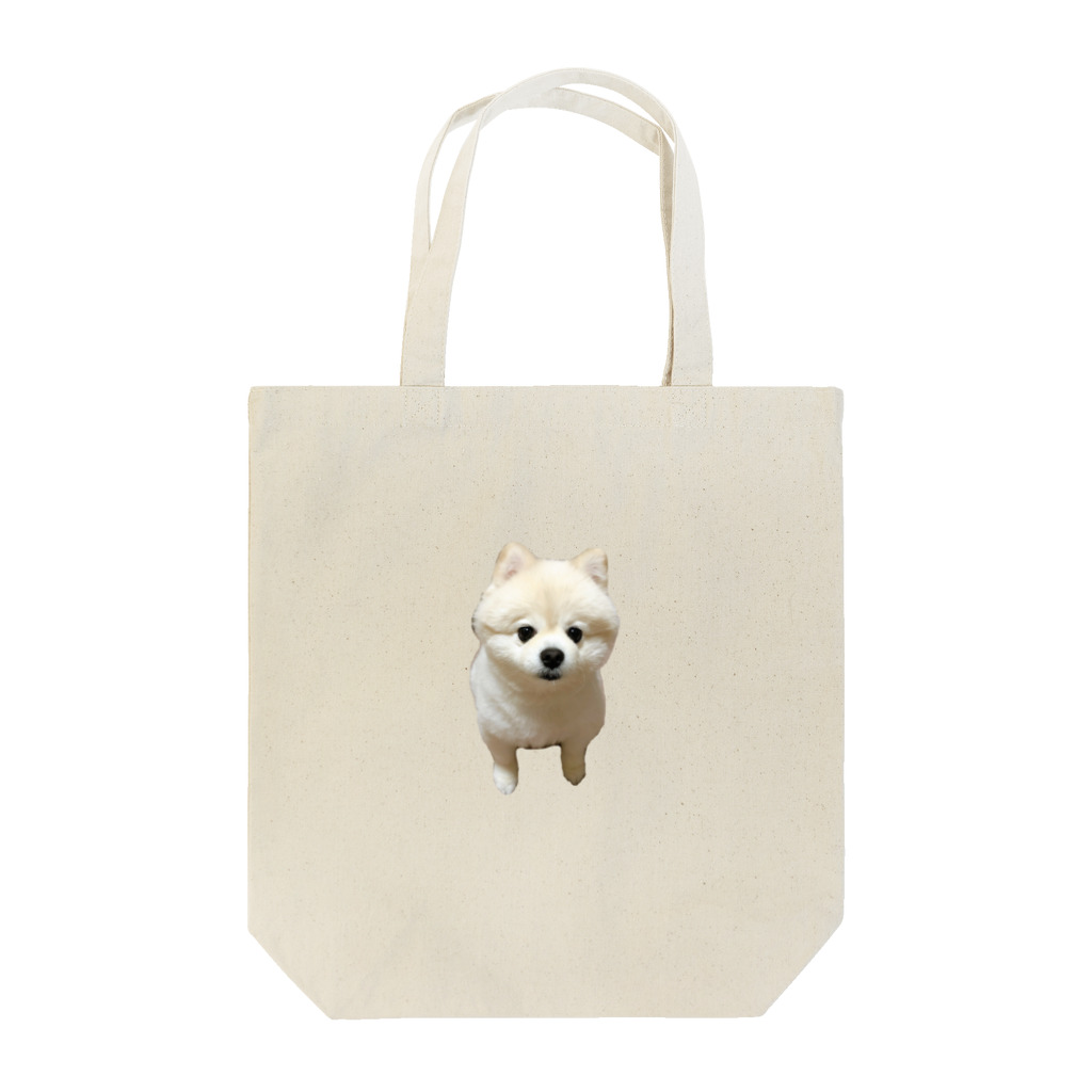 わたあめのポメラニアンのわたあめちゃん Tote Bag