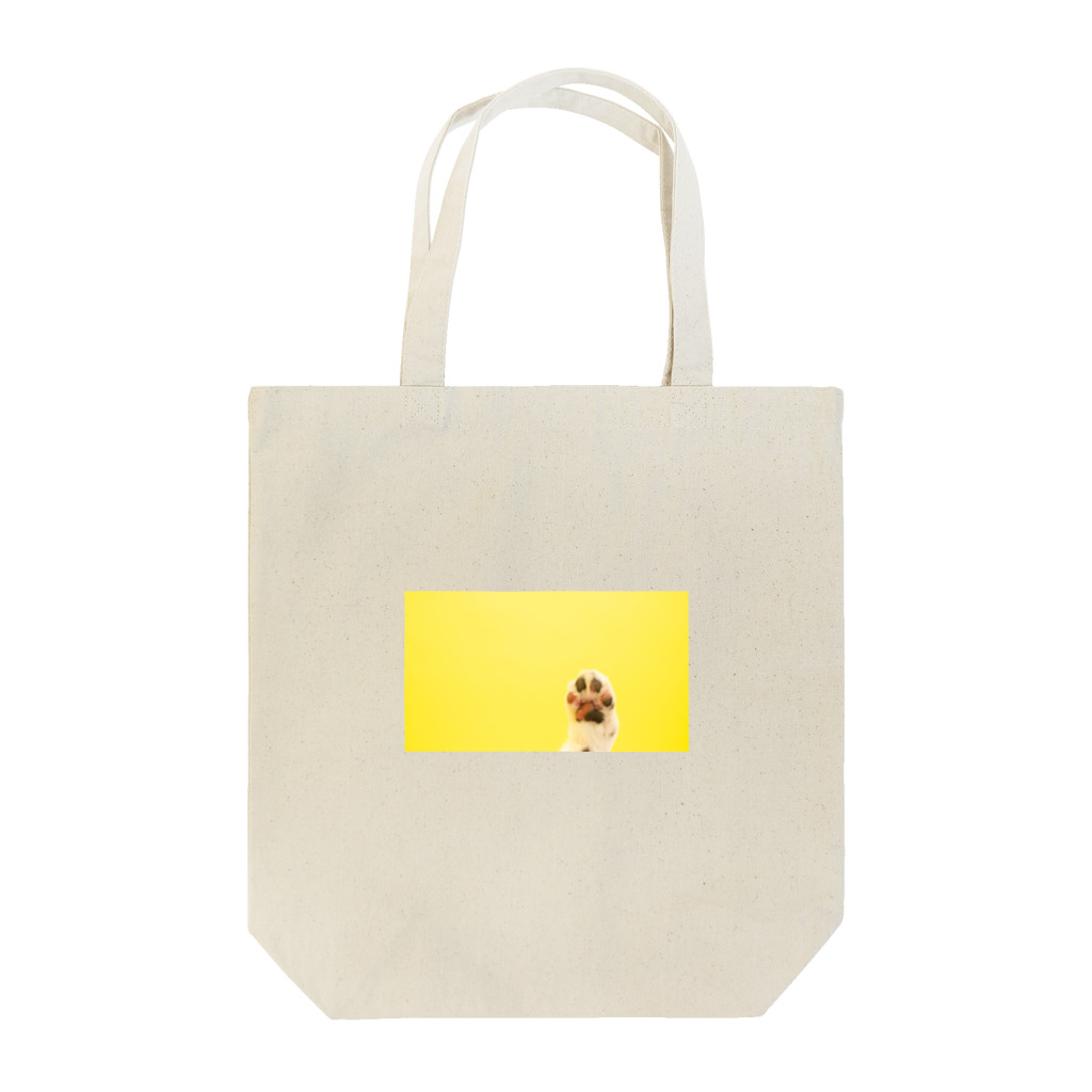 MellsaM 3.3のMellsaM 3.3 Tote Bag