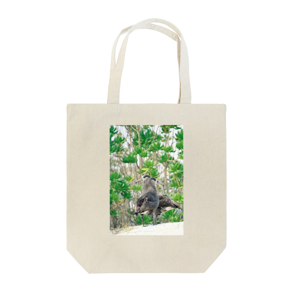 写真的徒然草のクロアシアホウドリ トートバッグ