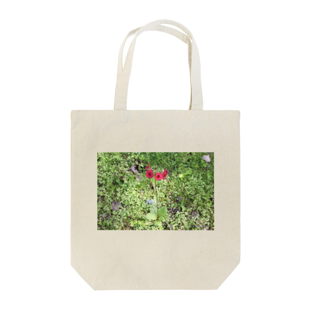 Aiko Nakanoの桜草 Tote Bag