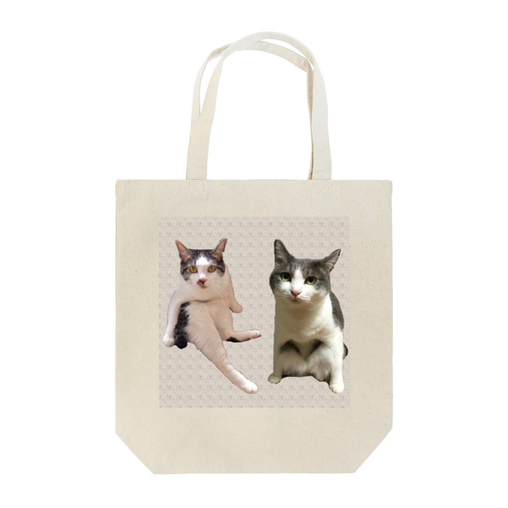 空風のヘンな座り方の兄妹猫 Tote Bag