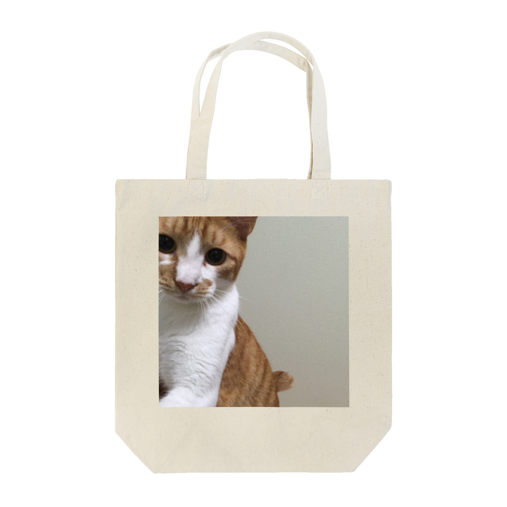 ねこまる広場のぽてとさん Tote Bag