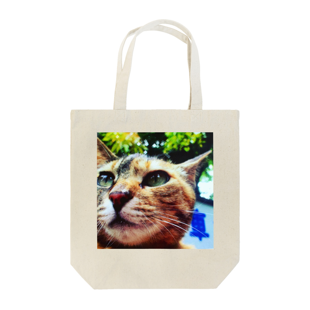 電気羊研究所science&GAMEの公園猫　 Tote Bag