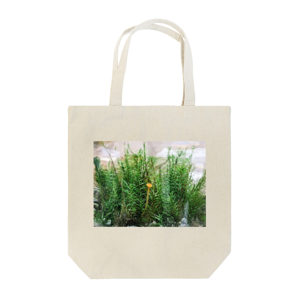 アトリエWindwingのキノコと苔テラリウム Tote Bag