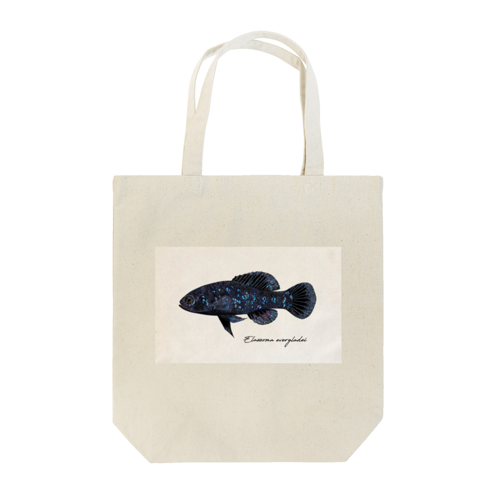 Serendipity -Scenery In One's Mind's Eye-のElassoma evergladei on the paper Tote Bag