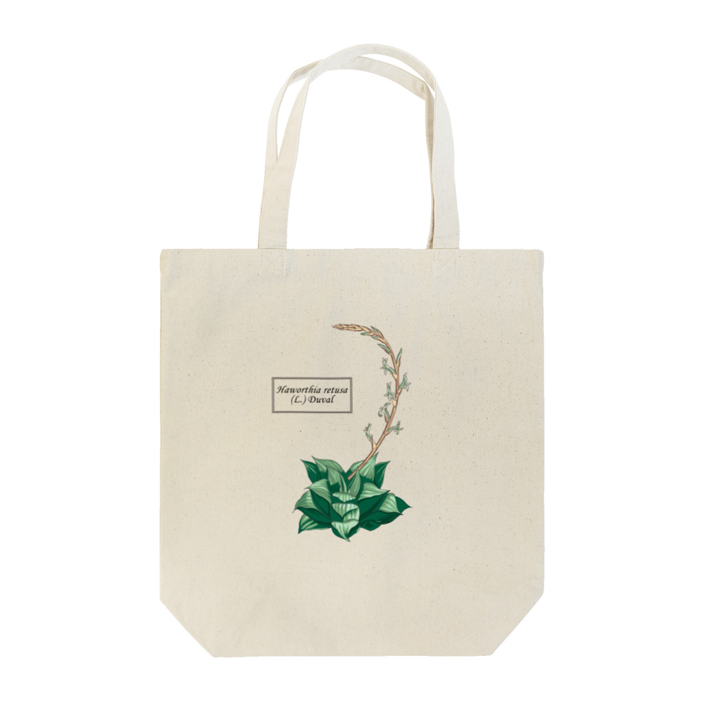 たくみのグッズショップのハオルチア レツーサ （Haworthia retusa） Tote Bag