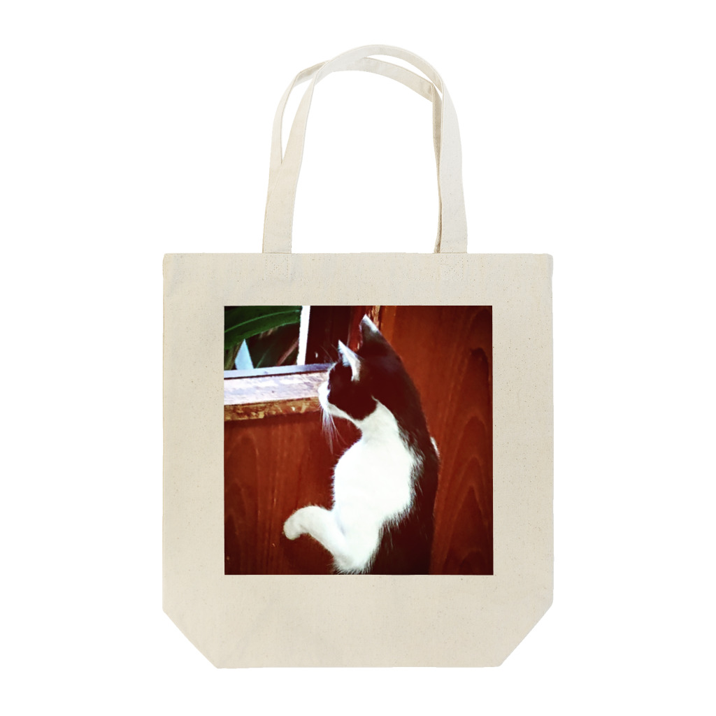 天光のねこ部屋の窓際のプリンちゃん Tote Bag