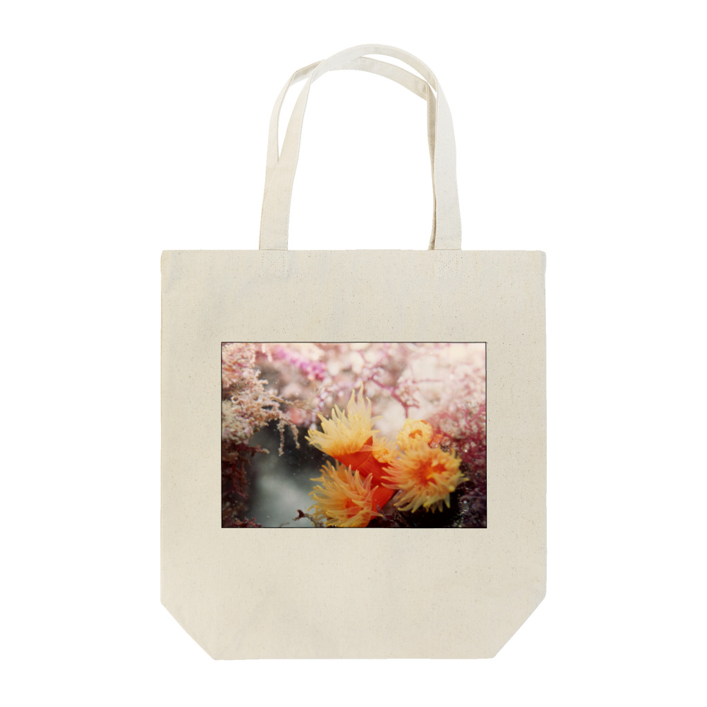 龍舞堂の海中写真 Tote Bag