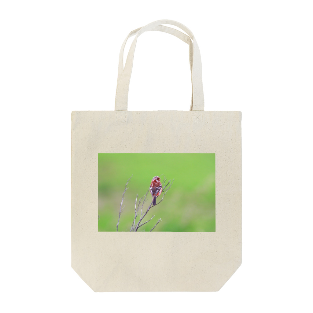 野鳥と犬の竃蔵屋(かまくらや)のベニマシコ。野鳥。 Tote Bag