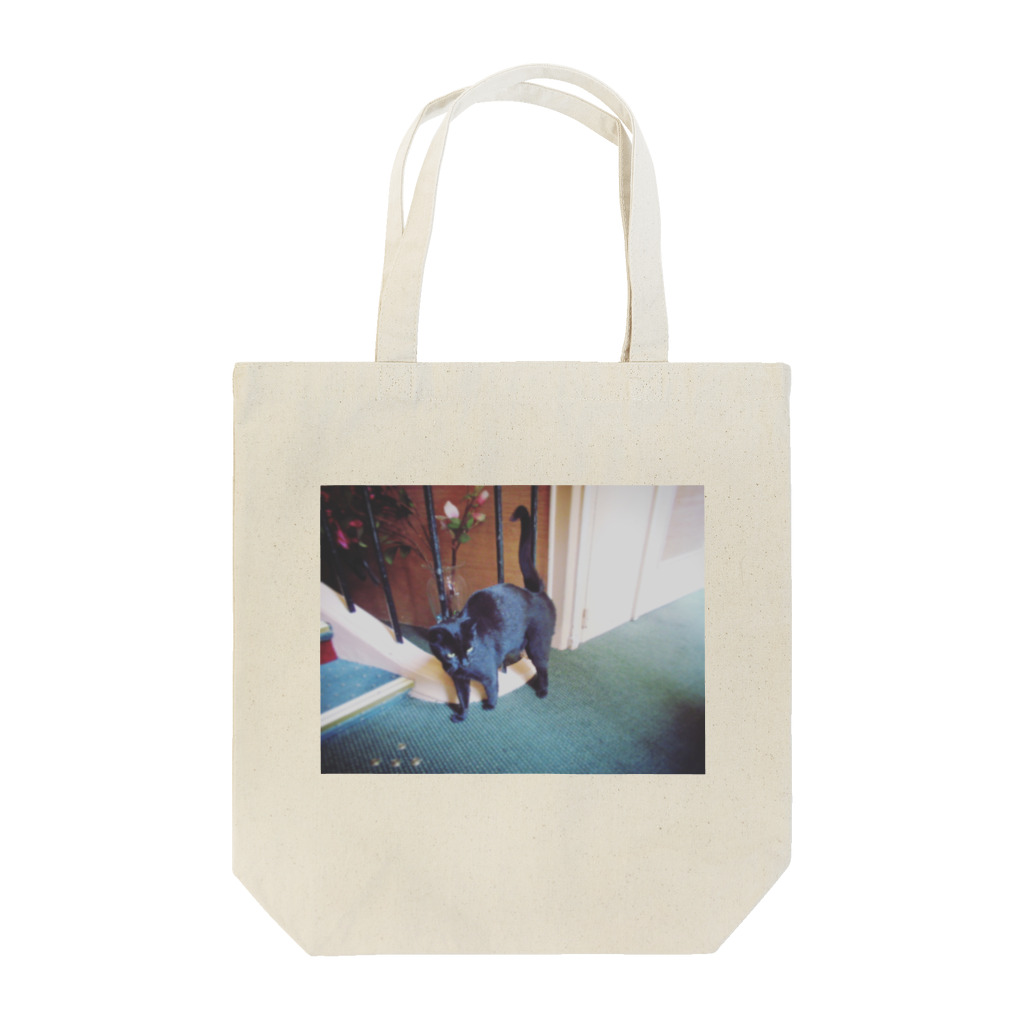 Aya_RapunzelのParis cat Tote Bag