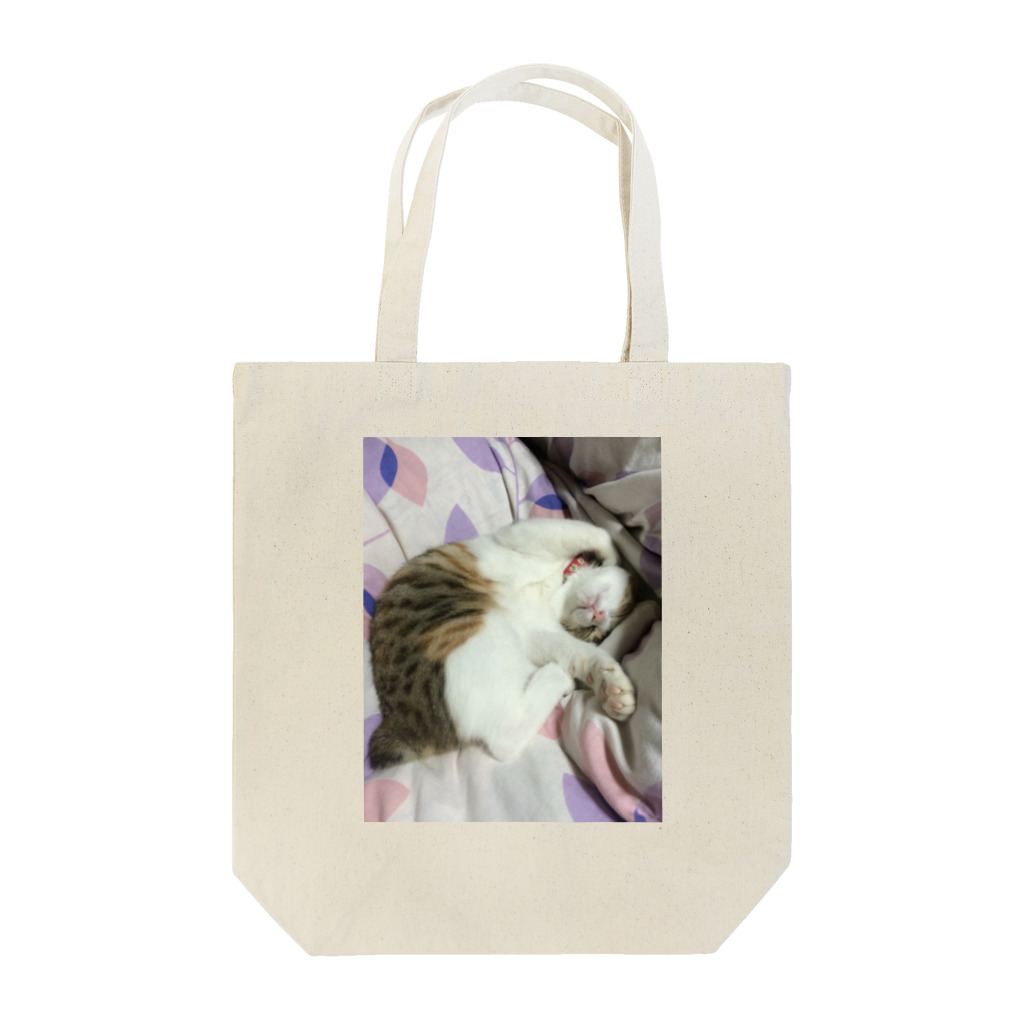 ほぼひめ。の三毛猫のひめ　2 Tote Bag