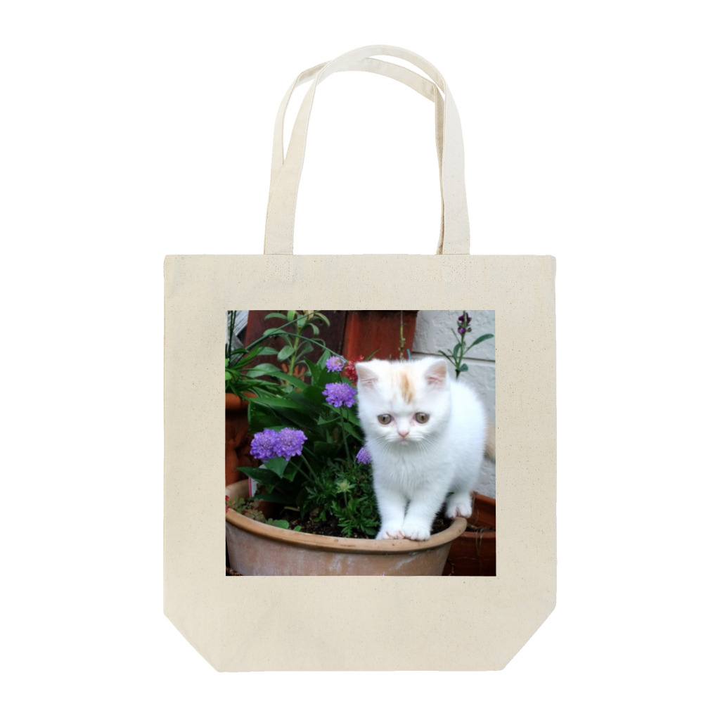 Takoyanの天使の子猫ちゃん Tote Bag