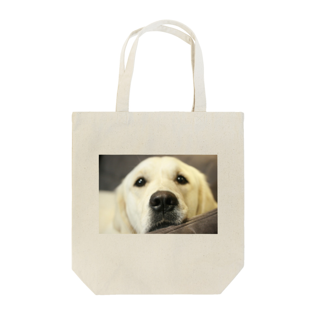 すいーとbabyの希望に満ちた瞳の犬 Tote Bag