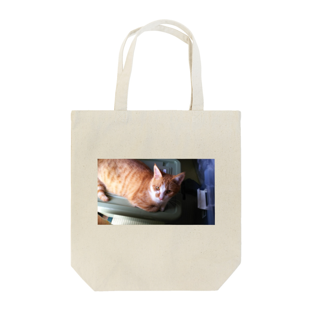 金運招福オフィシャルショップの金運招きネコのゆず Tote Bag