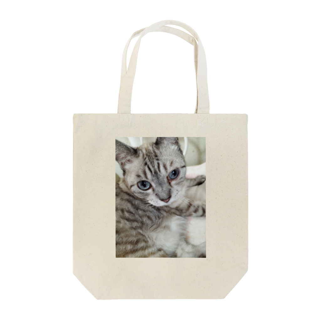 ねこの森でお散歩のフッワフワのシャムミックス Tote Bag