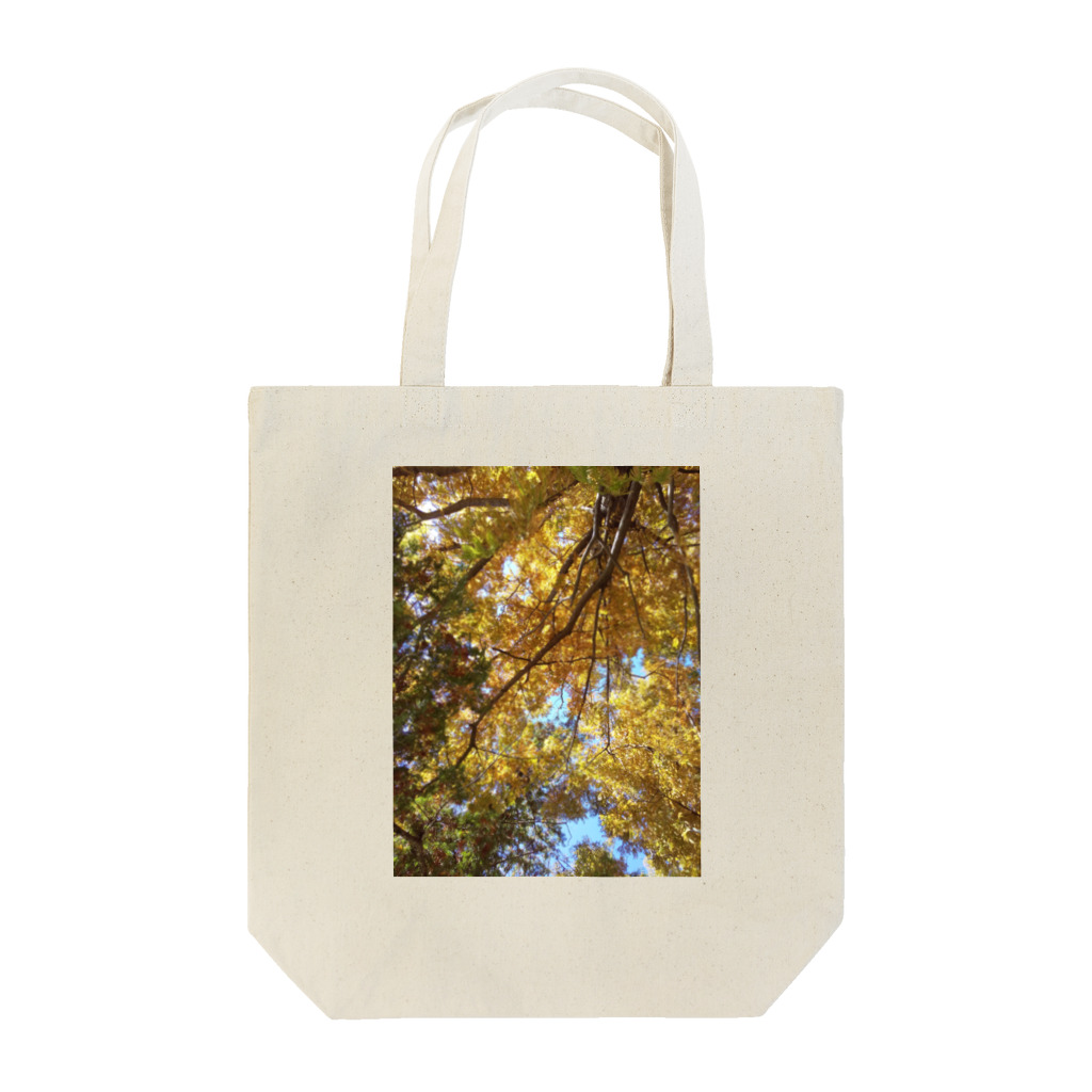 福猫山小屋の美しい木々 Tote Bag